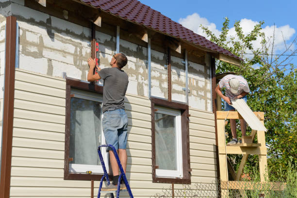 Best Fascia and Soffit Installation  in Adel, IA