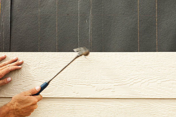 Professional Siding in Adel, IA